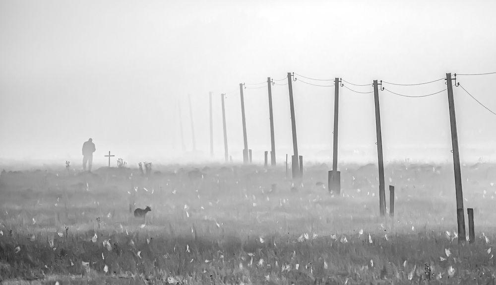 Photograph by Игорь Квочка