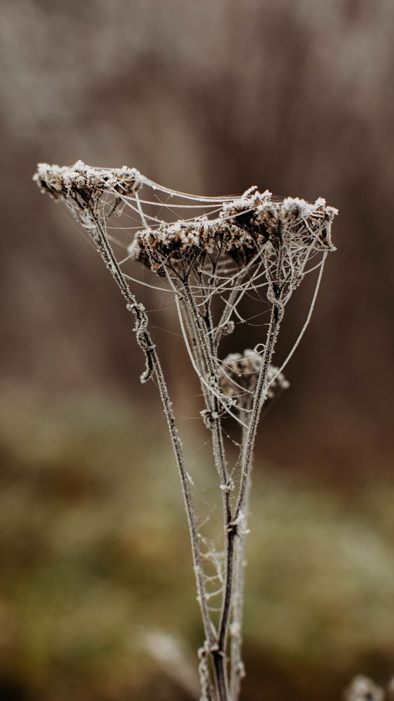 Photograph by Анна Муковозова