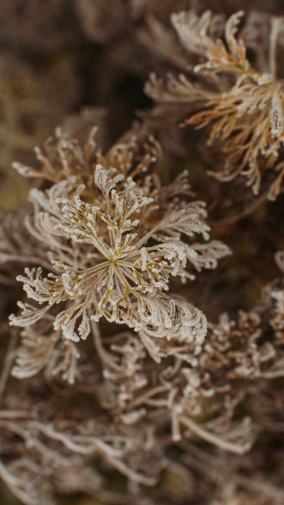 Photograph by Анна Муковозова