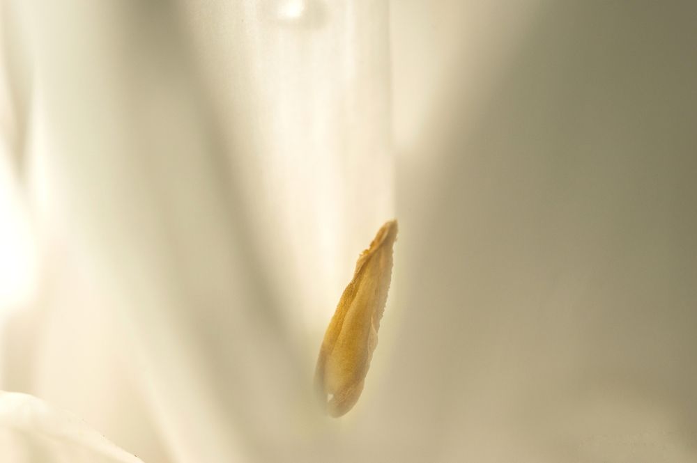 Photograph by Алексей Хасанов