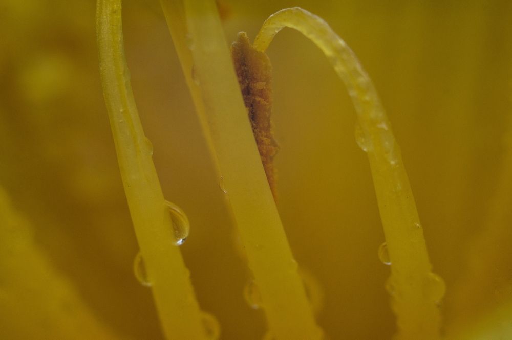 Photograph by Алексей Хасанов