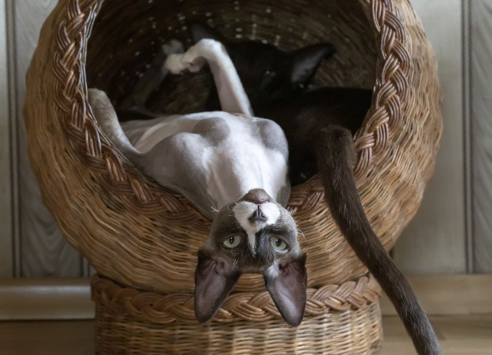 Photograph by Татьяна Феденкова