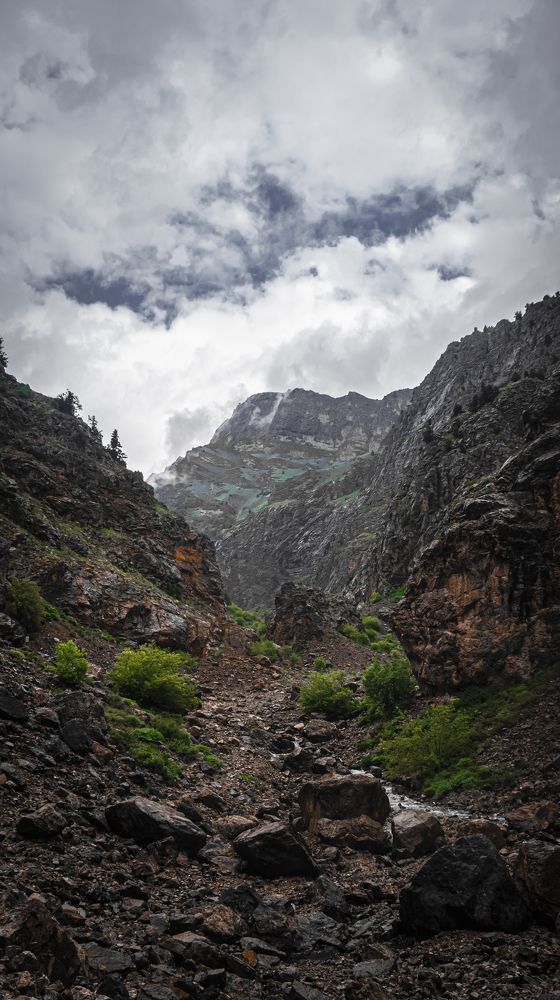 Photograph by Artem Slastnikov