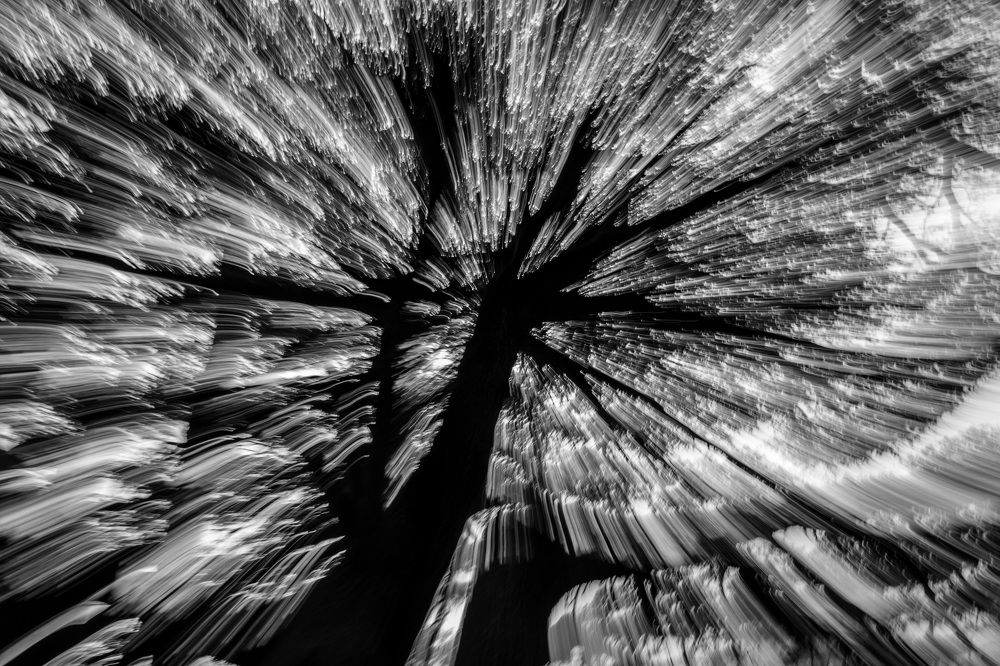 Photograph by Nabiha Radwan