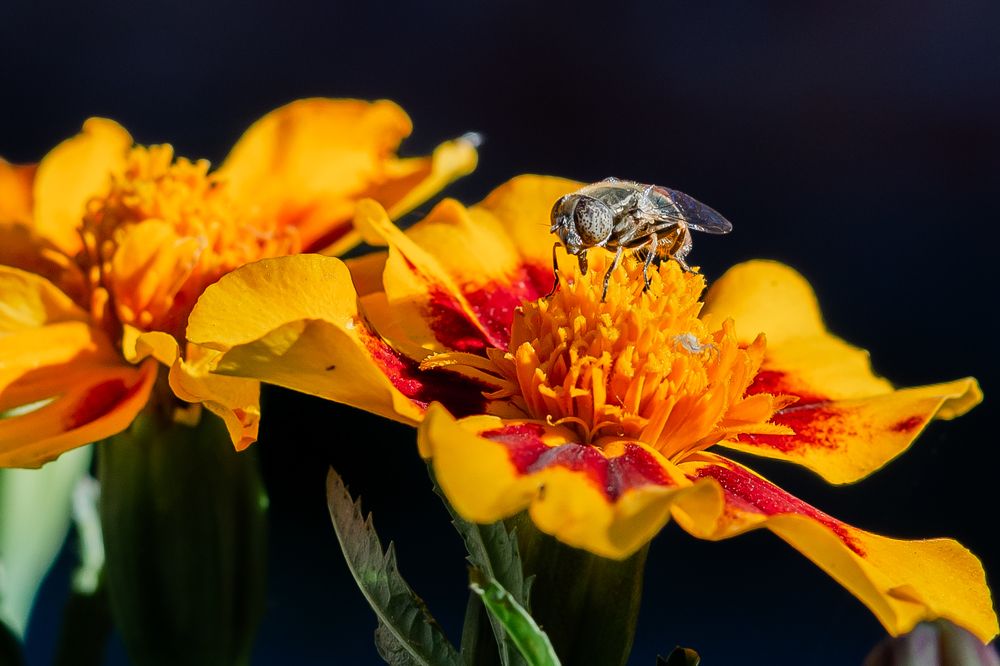 Photograph by Михаил Редин