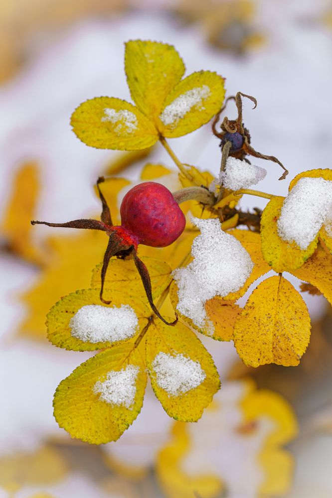 Photograph by Valdis Serzhans