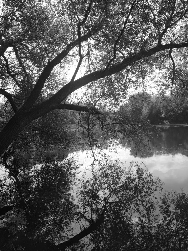 Photograph by Елена Коробченко