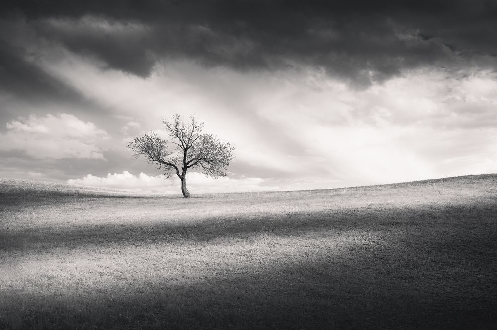 Фотография автора Евгений Иванов