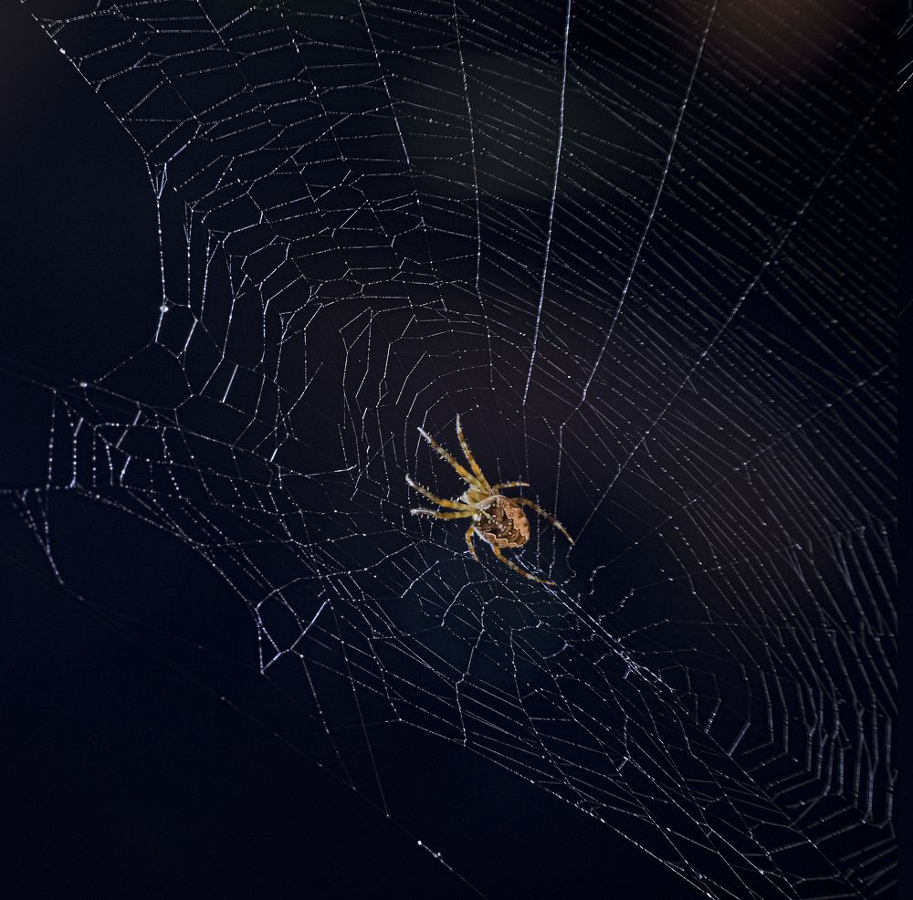 Фотография автора Черновол Валентин