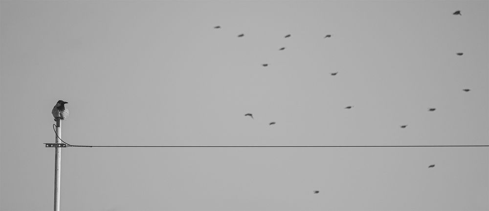 Photograph by Сергей Шварцман