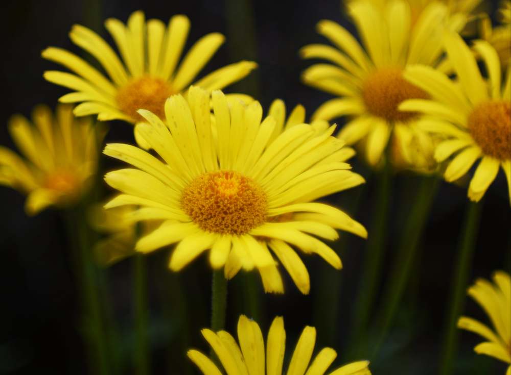 Photograph by ILIAS DIMITRIOU