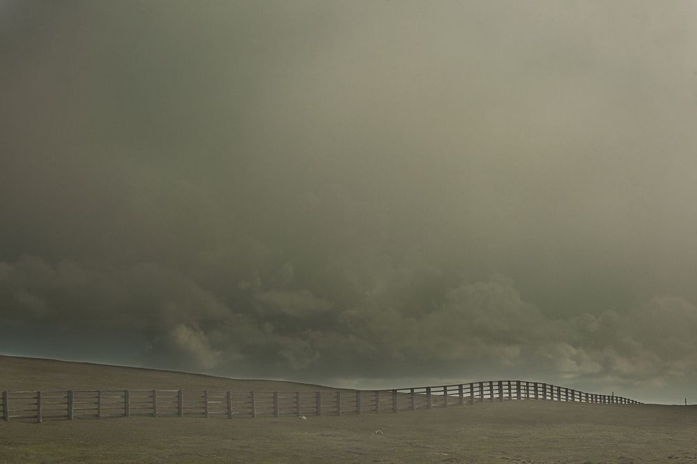 Фотография автора Лариса Кисурина