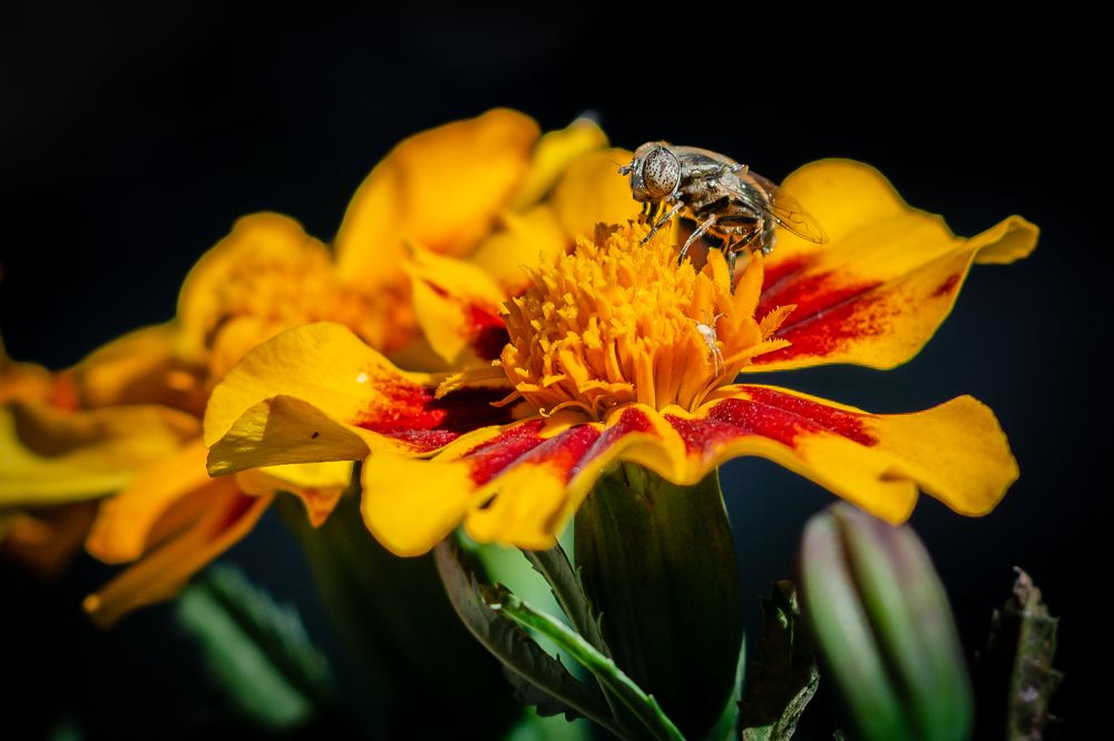 Photograph by Михаил Редин