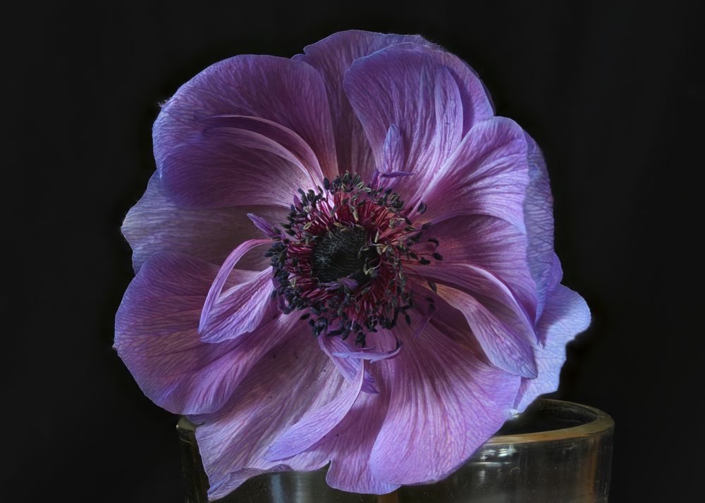 Photograph by Владимир Кваша