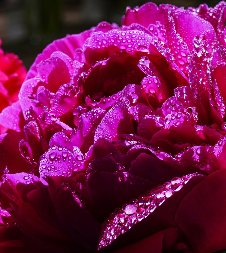 Photograph by Евгений Гонтов