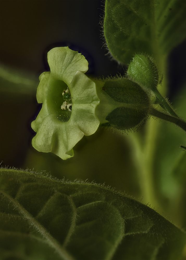Photograph by Владимир Кваша