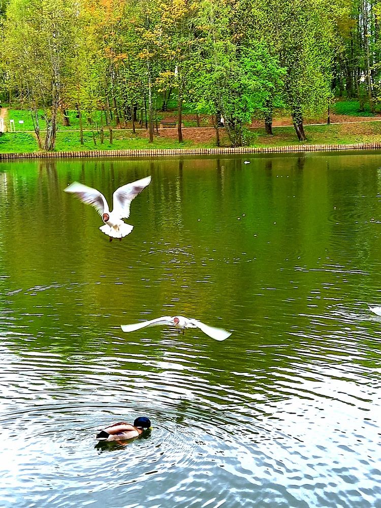 Photograph by Ольга Юрченко