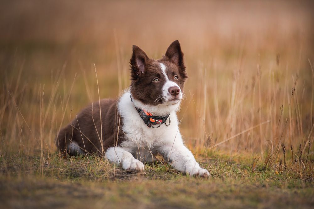 Photograph by Маргарита Богуславская
