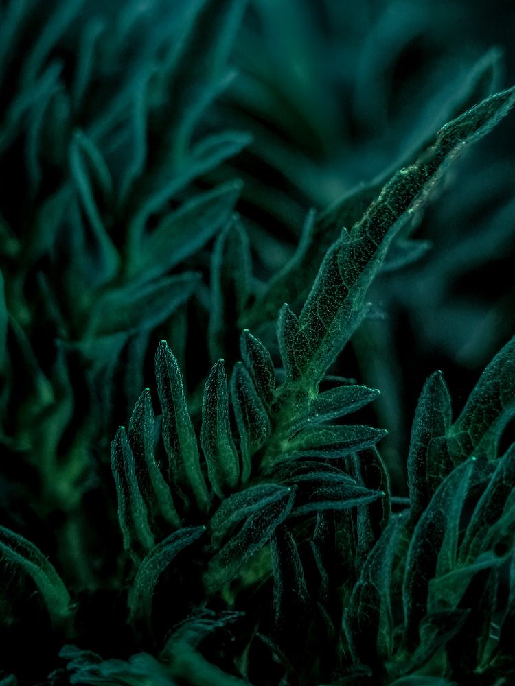 Photograph by Лариса Когтева