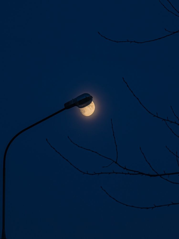 Photograph by Сергей Андреев