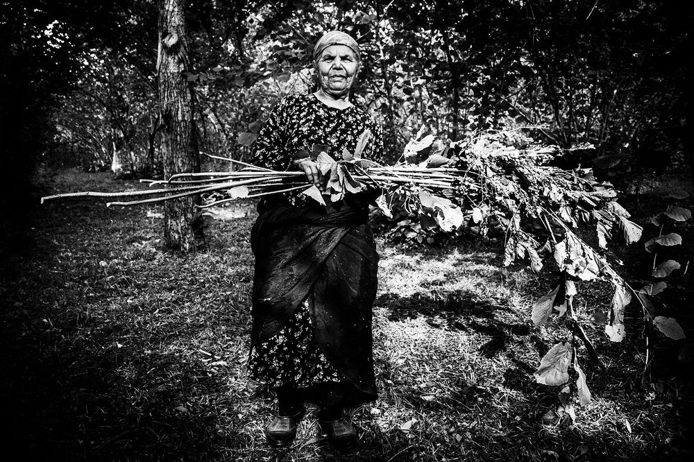 Photograph by Mostafa Salkhori