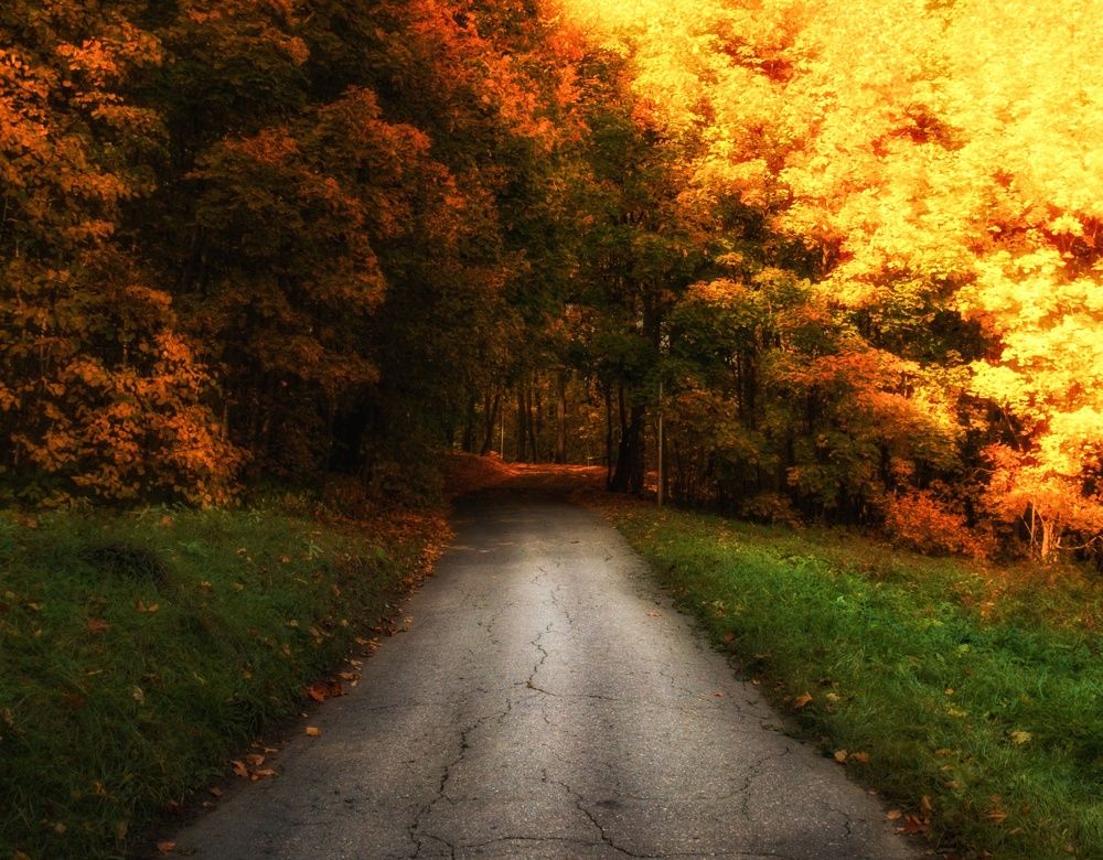 Фотография автора Александр Андреянов