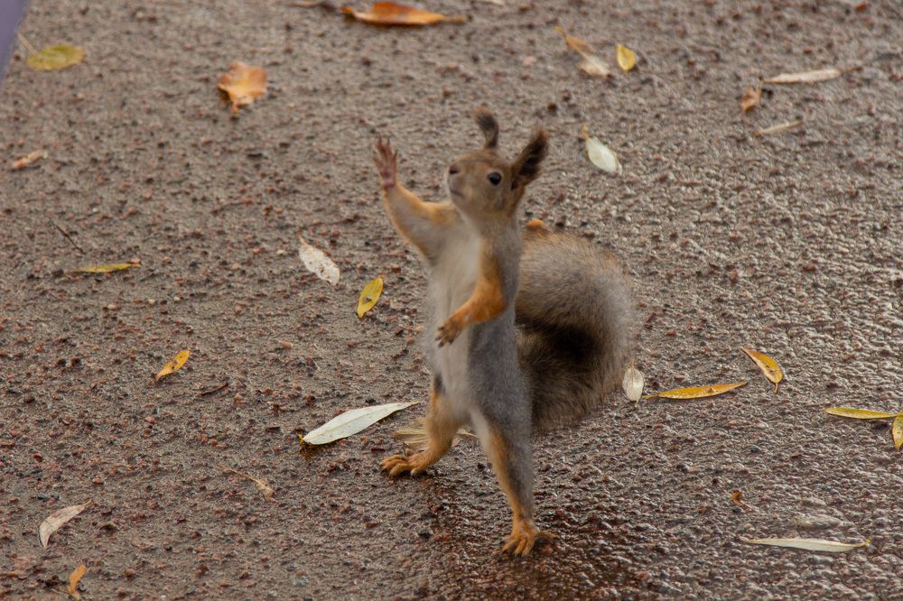 Photograph by Анастасия Дончук
