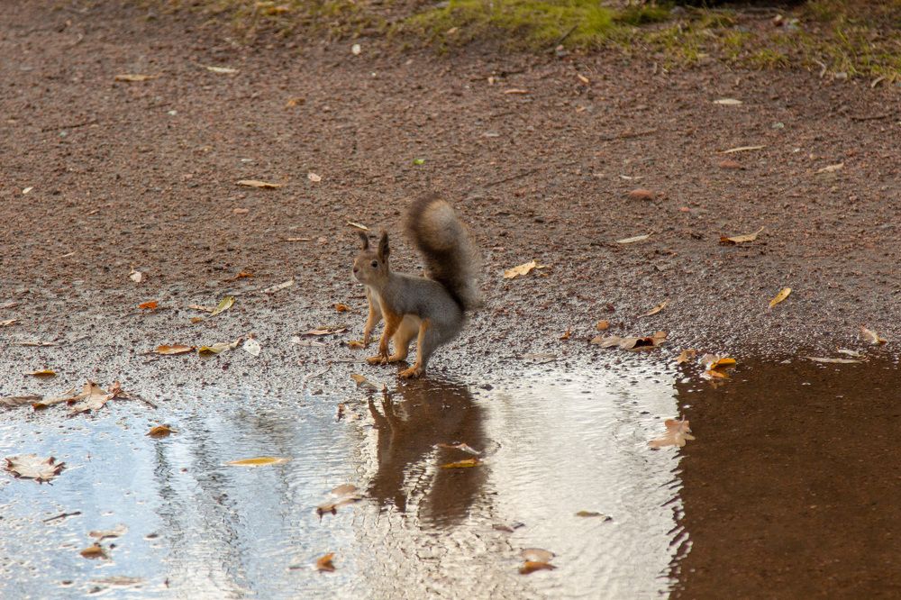 Photograph by Анастасия Дончук