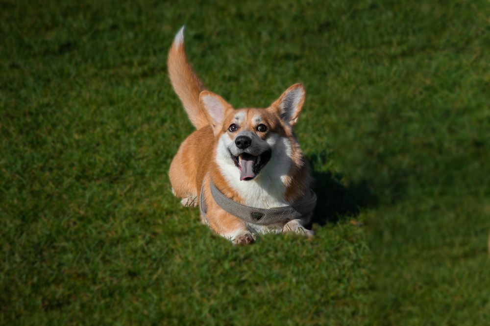 Photograph by Анастасия Дончук