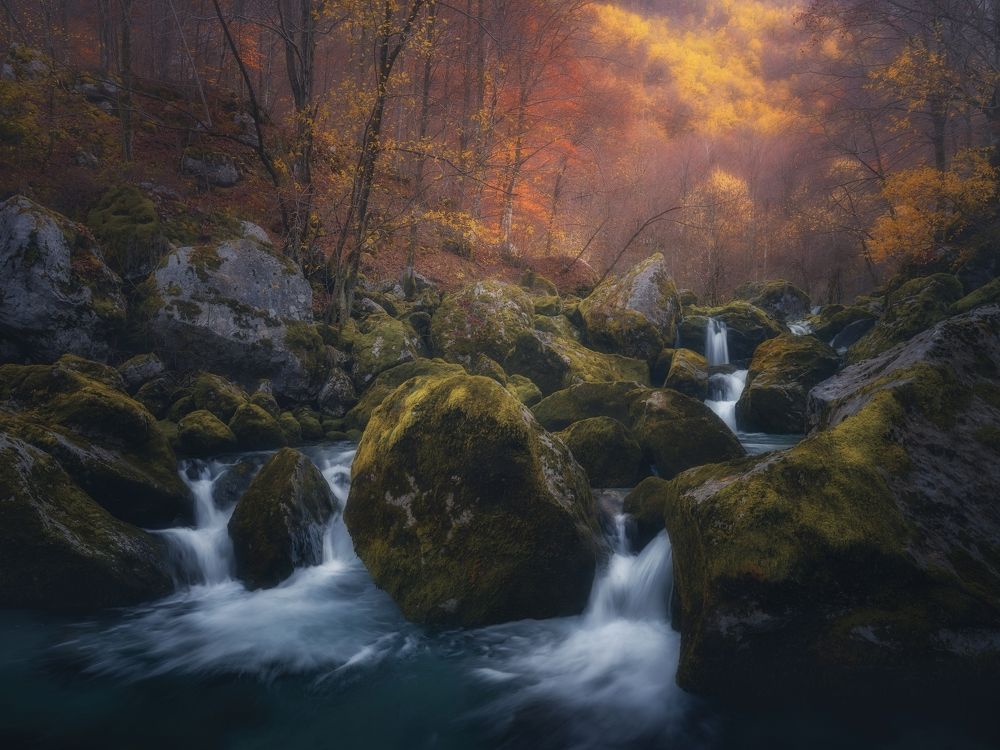 Photograph by de Franzoni Thomas