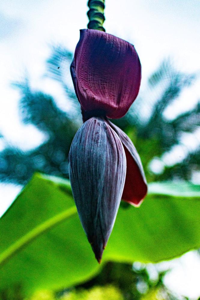 Photograph by Сауия Назмутдинова