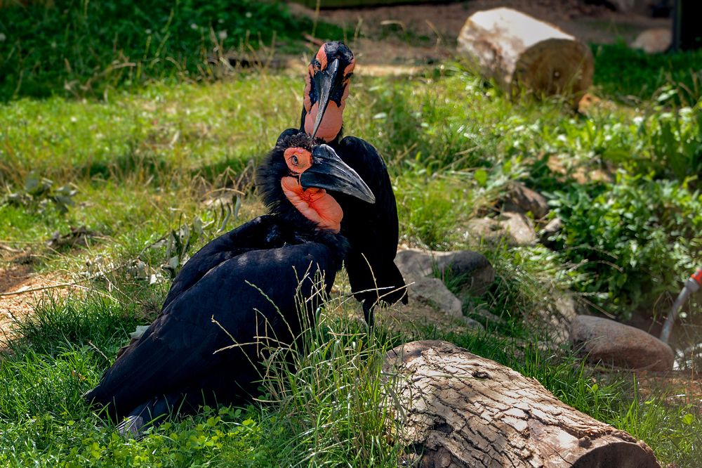 Photograph by Александр Шипиленко