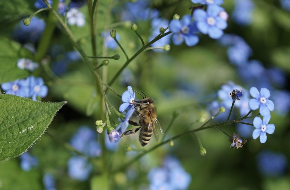 Фотография автора Liudmila Kiermeier