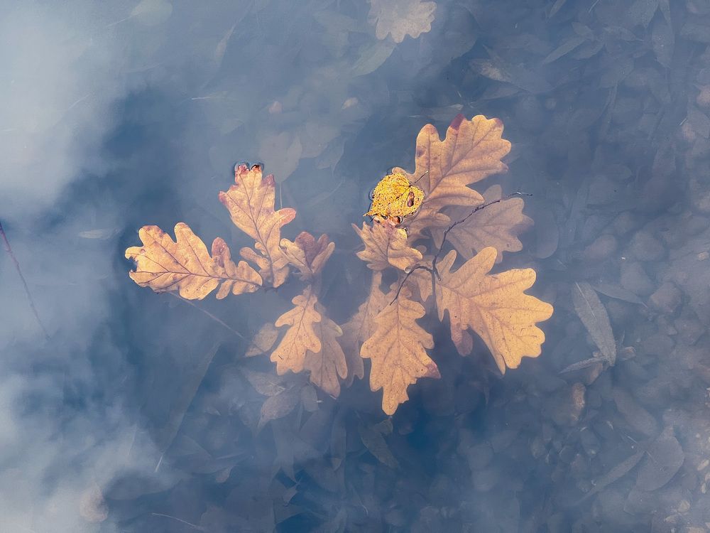 Фотография автора Maria Lo