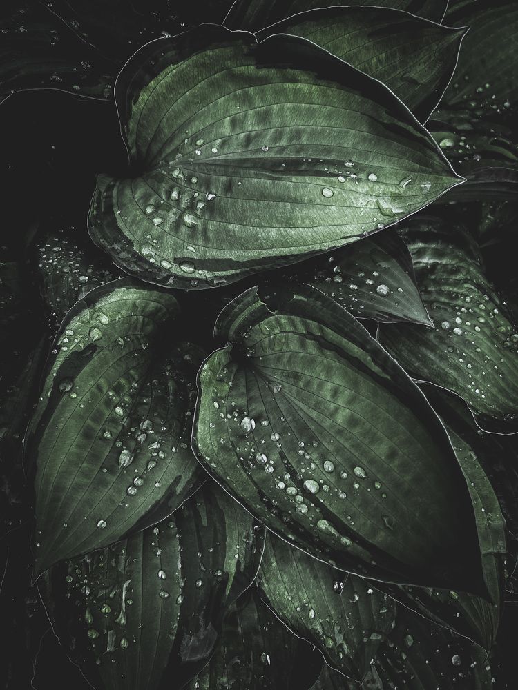 Фотография автора Maria Lo