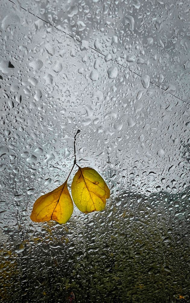 Фотография автора Maria Lo