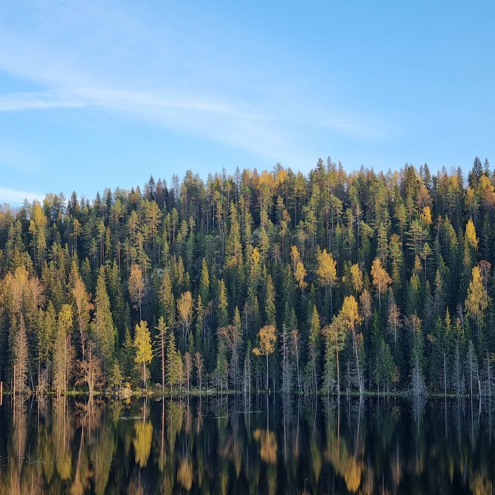 Photo #9767148