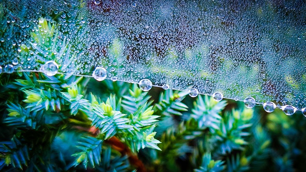 Фотография автора Elena Ku