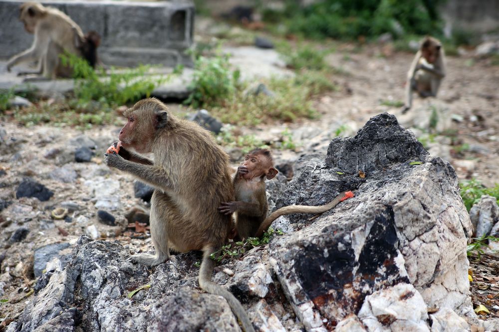 Photograph by Наталья Альбрехт