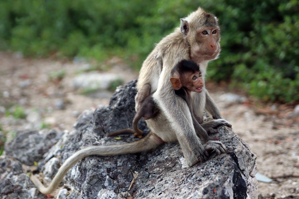 Photograph by Наталья Альбрехт