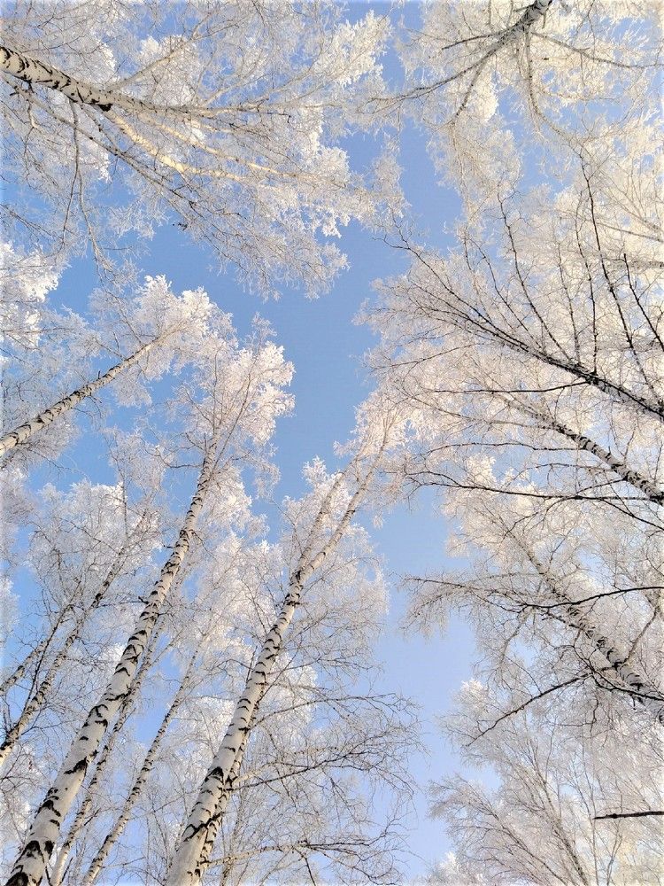 Photograph by Удовченко Елена