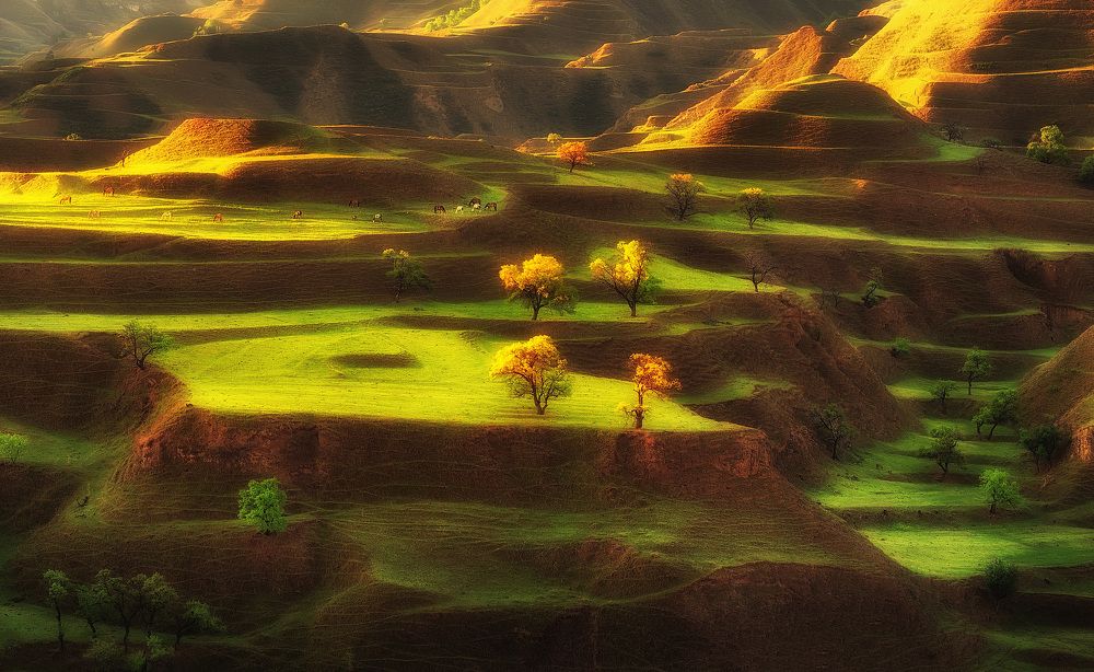 Photograph by Андрей Родионов