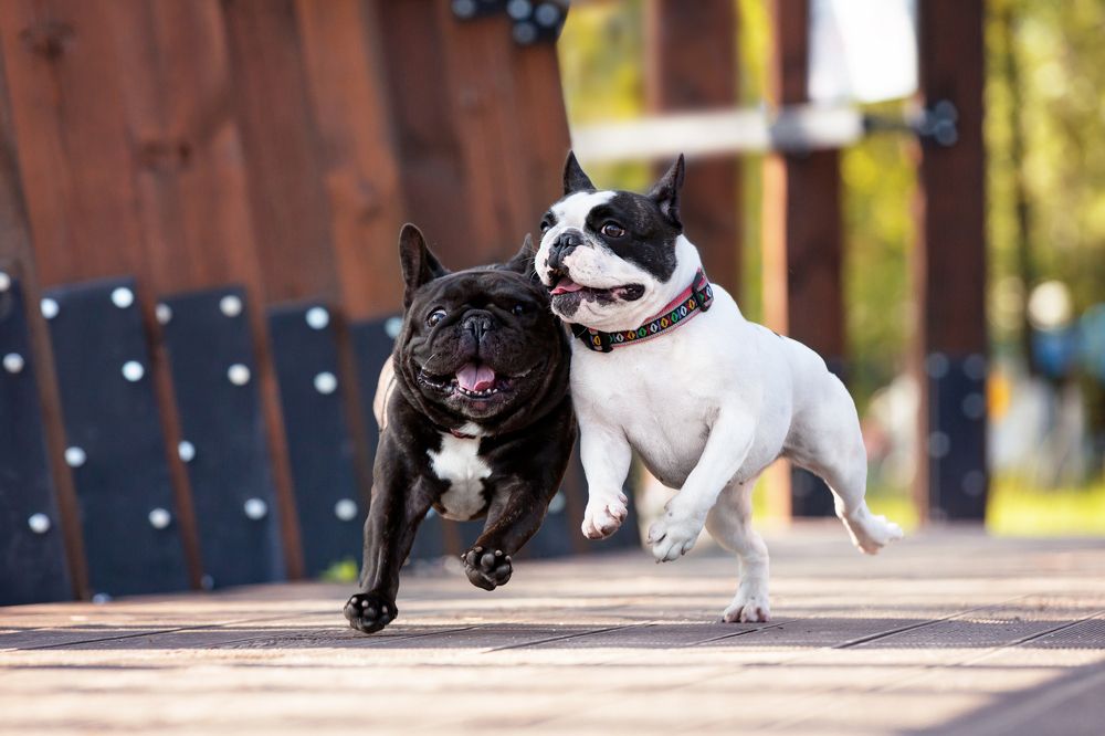 Photograph by Наталья Степанова