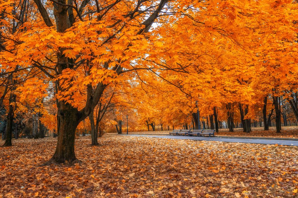 Фотография автора Сережа Сережин