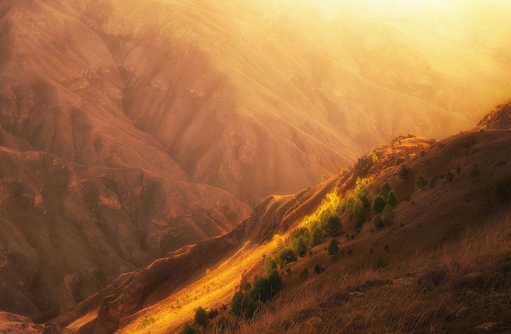 Photograph by Андрей Родионов