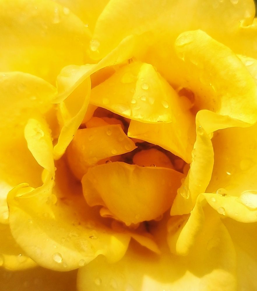 Photograph by Maiya Bulatova