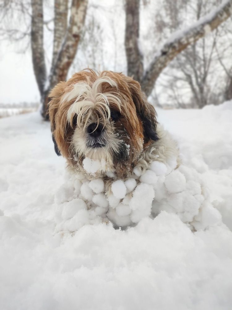 Photograph by Юлия Гинтер