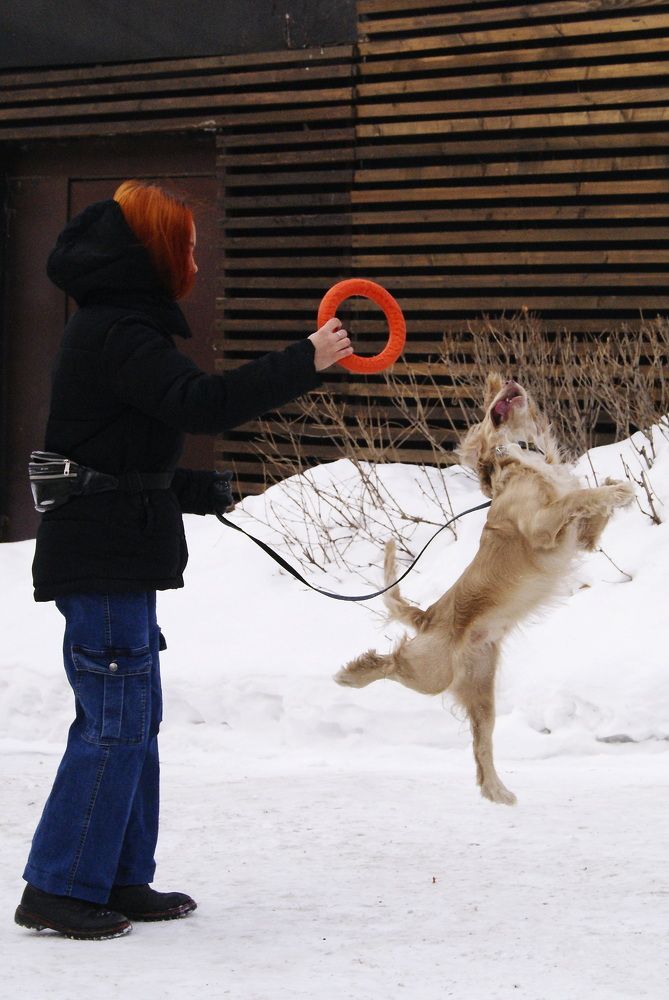 Photograph by Екатерина Бахтинова