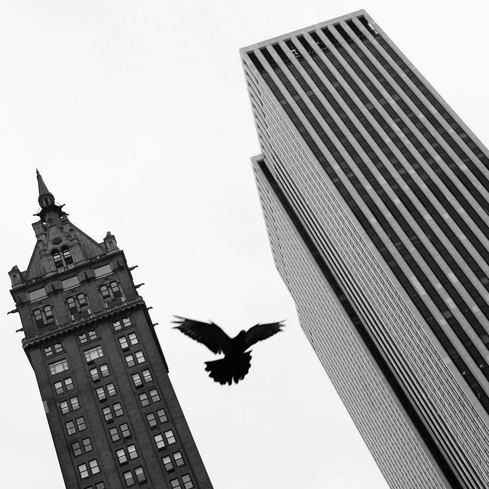 Photograph by Олег Банковский