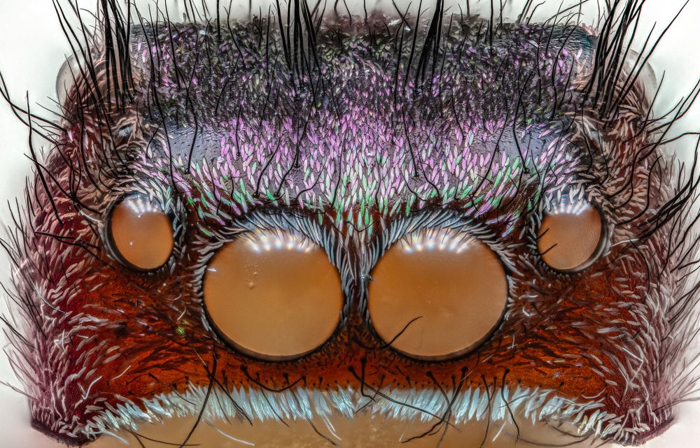 Photograph by Jimmy Chan